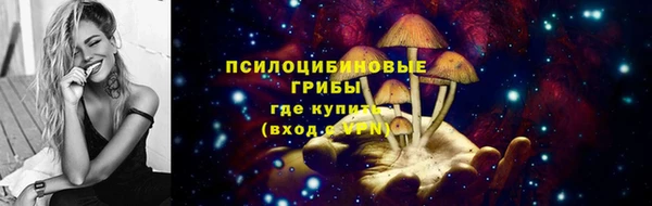 PSILOCYBIN Белая Холуница