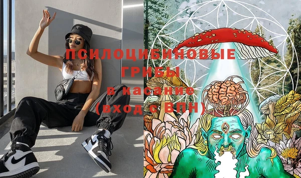 PSILOCYBIN Белая Холуница