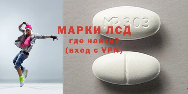PSILOCYBIN Белая Холуница