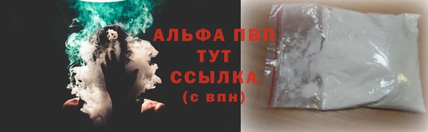 индика Бежецк