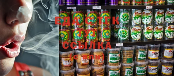 индика Бежецк