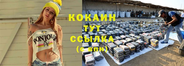 индика Бежецк