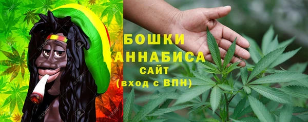 индика Бежецк