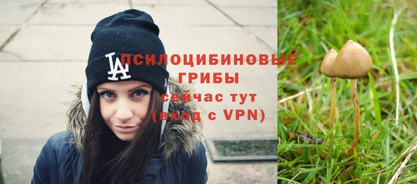 PSILOCYBIN Белая Холуница