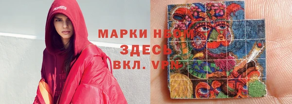 индика Бежецк