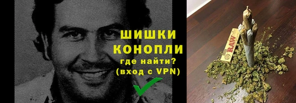 PSILOCYBIN Белая Холуница