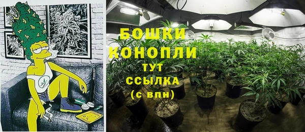 индика Бежецк