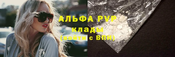 индика Бежецк