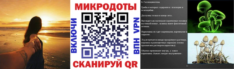 Псилоцибиновые грибы Magic Shrooms  дарк нет какой сайт  Выборг  где купить наркоту 