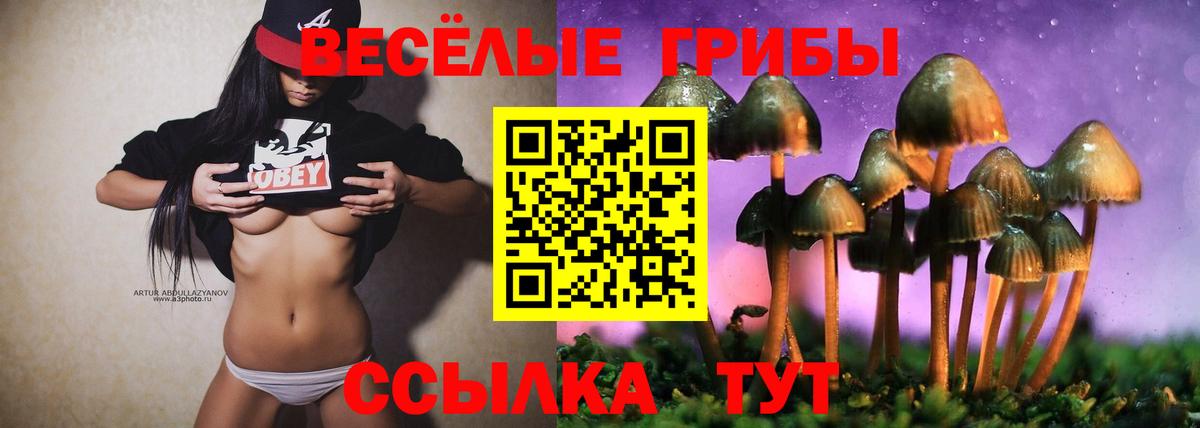 Галлюциногенные грибы ЛСД Выборг